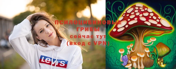 mdpv Михайлов