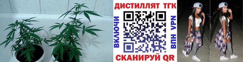 Дистиллят ТГК вейп с тгк закладка Омск