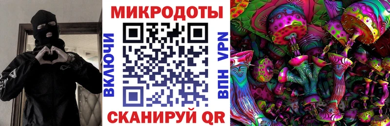 kraken ССЫЛКА  Омск  Псилоцибиновые грибы Magic Shrooms  наркотики 