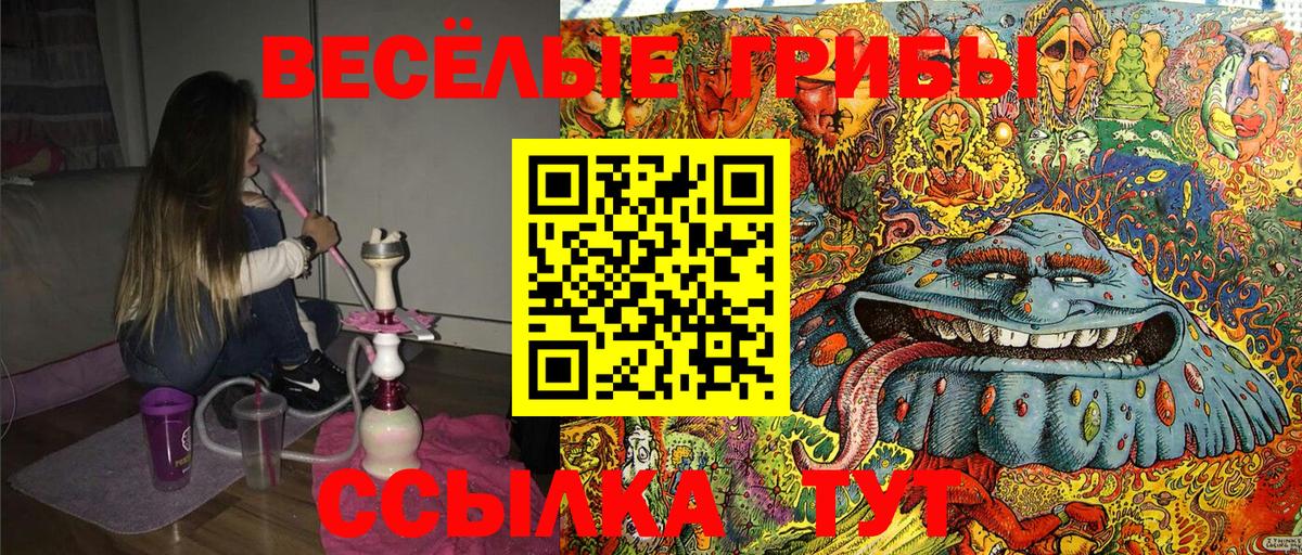 Галлюциногенные грибы Psilocybe  Омск 