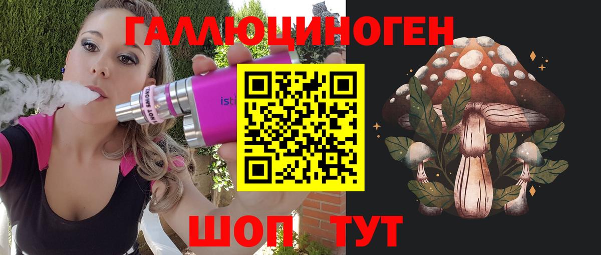 Псилоцибиновые грибы Psilocybine cubensis  Вход с VPN  где найти   Омск 